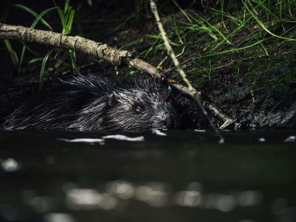 Photograph by Adam Lorenc