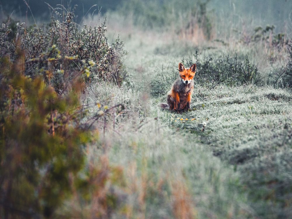 Photograph by Adam Lorenc