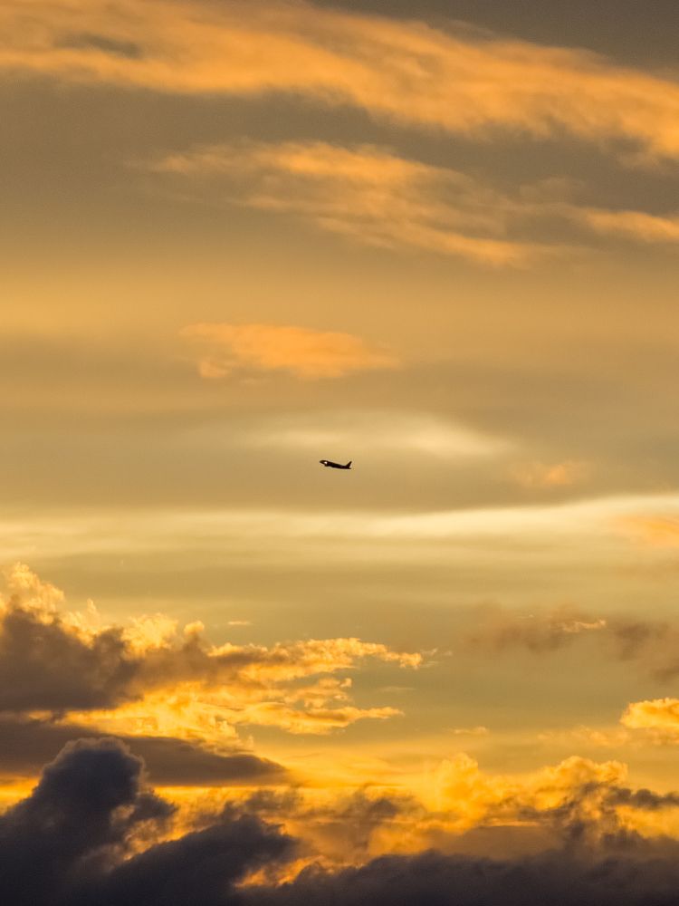 Golden minimalist sky.