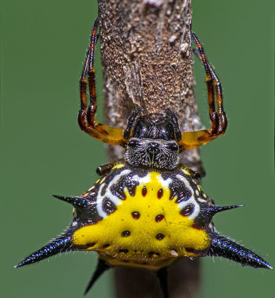 Photograph by ChonTin NeCoTi