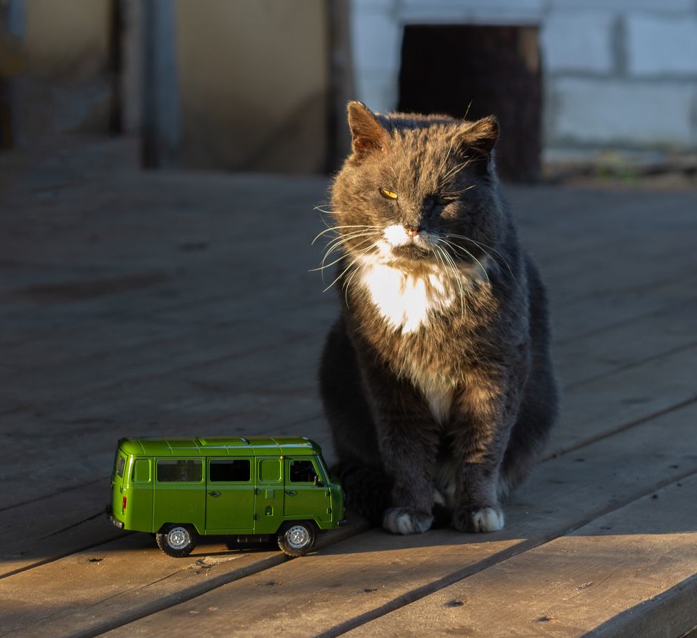 Photograph by Анна Масленникова-Бриль