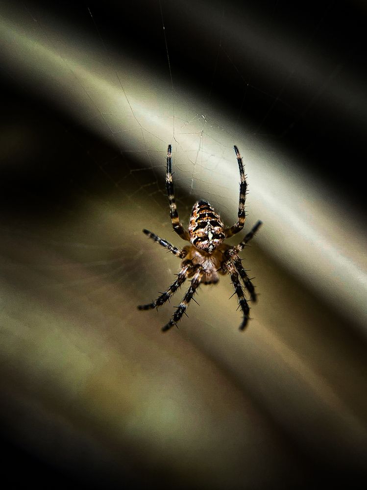 Photograph by Анна Пигулевская