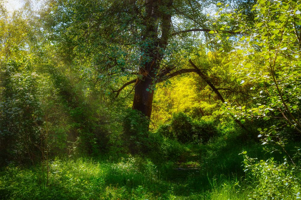 Photograph by Владимир Кваша