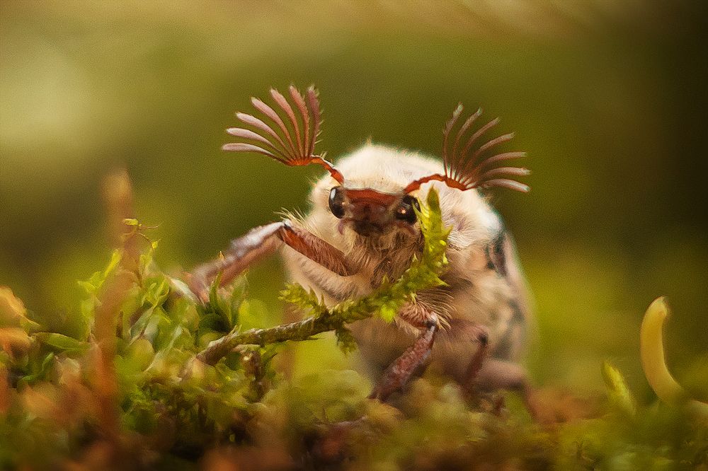 Photograph by Виктория Мамаева