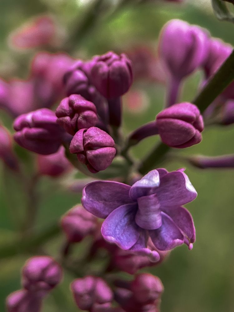 Photograph by Ольга Дорошенко