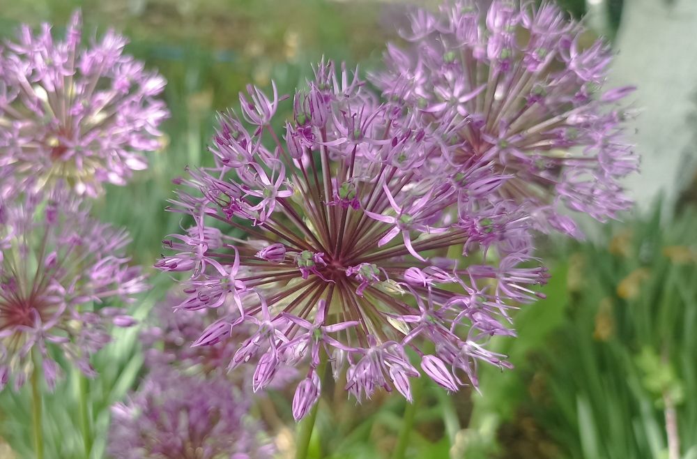 Photograph by Иван Левин