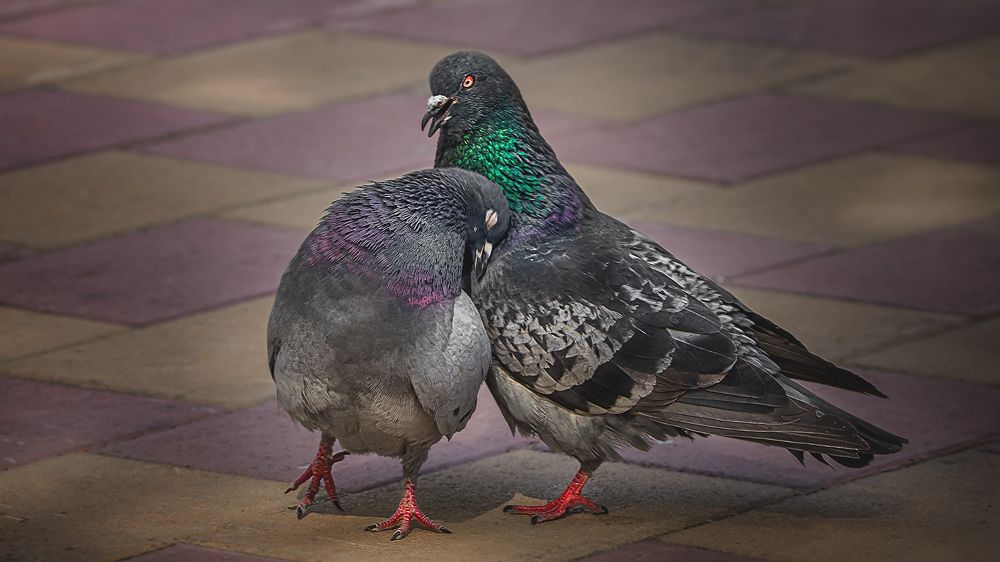 Photograph by Олег Белан