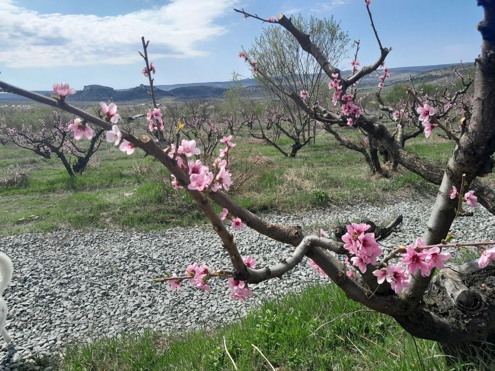 Photograph by Татьяна Ситникова