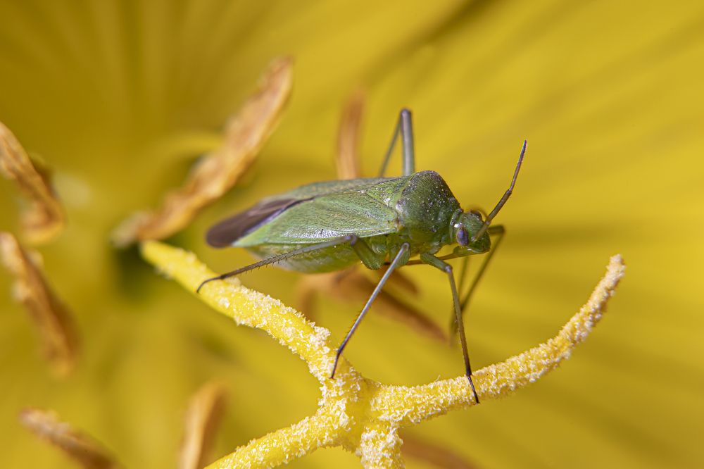 Photograph by Екатерина Бурикова