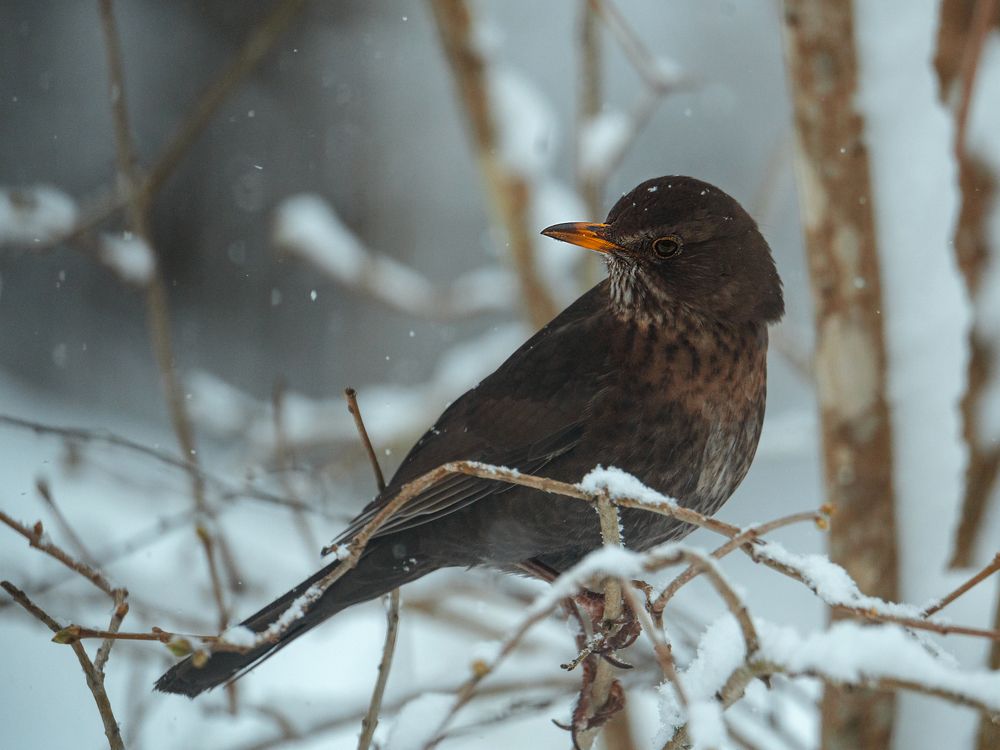 Photograph by Anna Sindikayeva