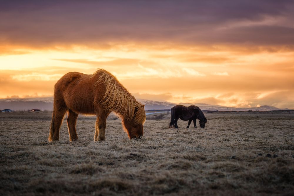 Photograph by George Bychkovsky