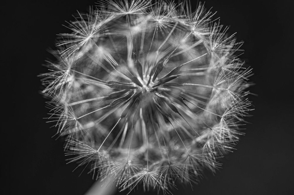 Фотография автора DIMITRIS MPAZIOTOPOULOS