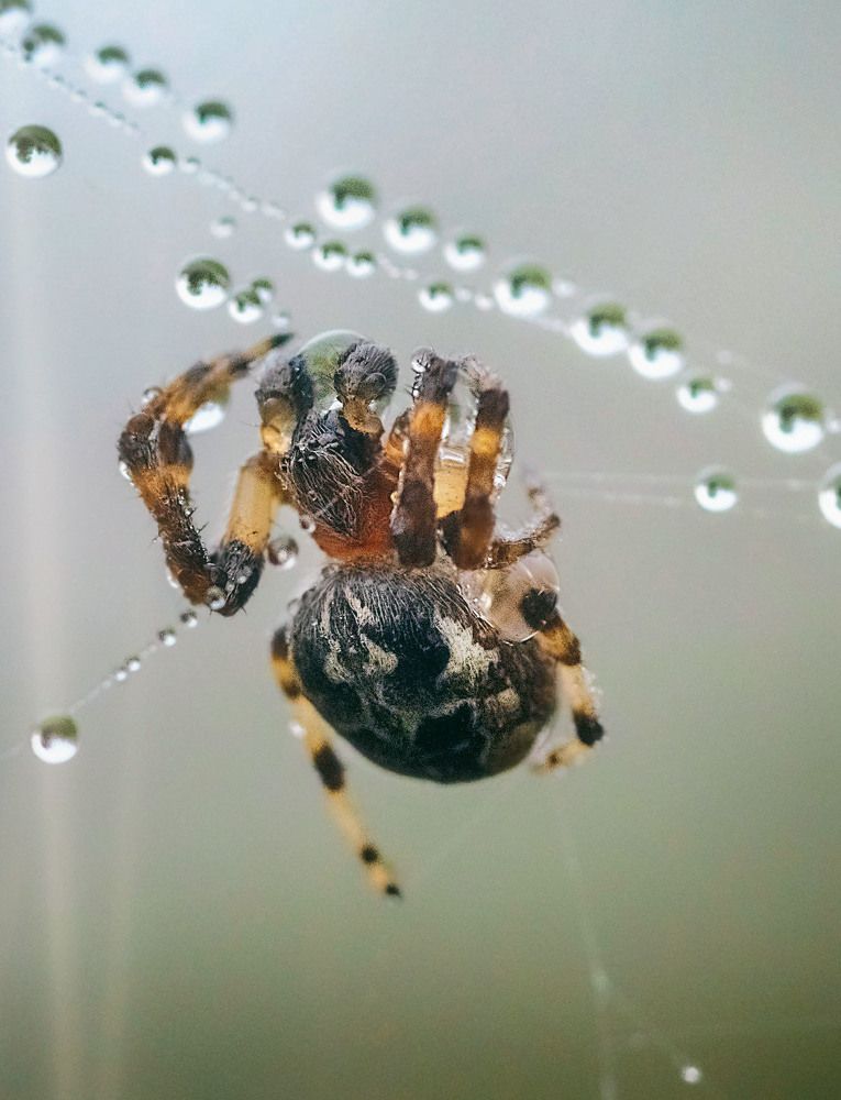 Photograph by Юлия Лушникова