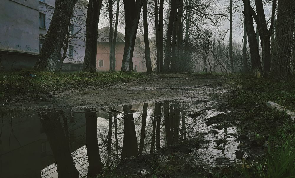 Фотография автора Олег Анатольевич Загорулько