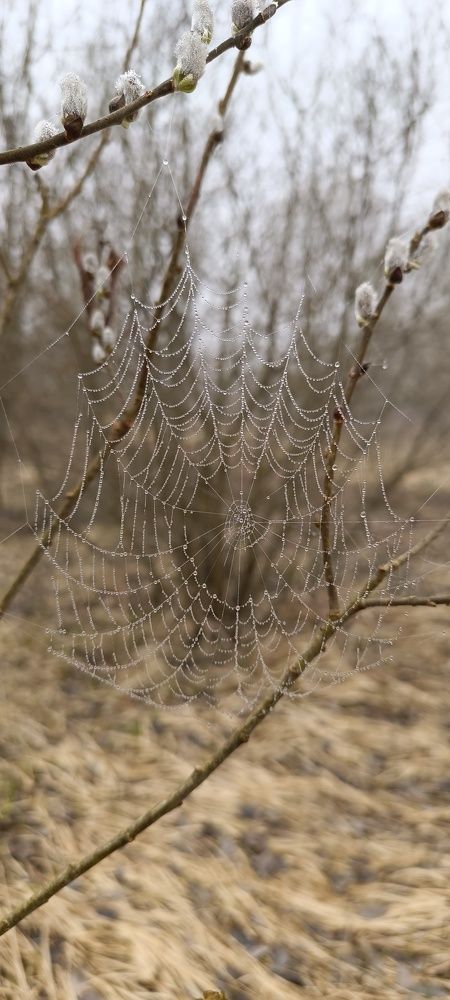 Photograph by Татьяна Смирнова