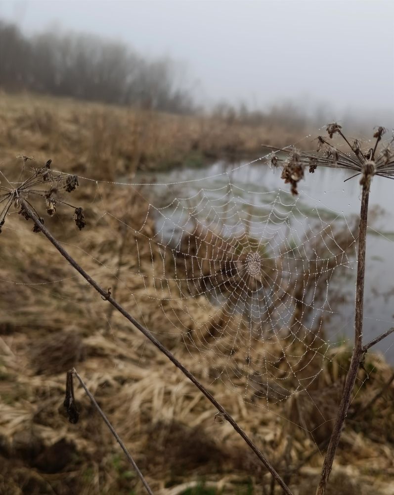 Photograph by Татьяна Смирнова