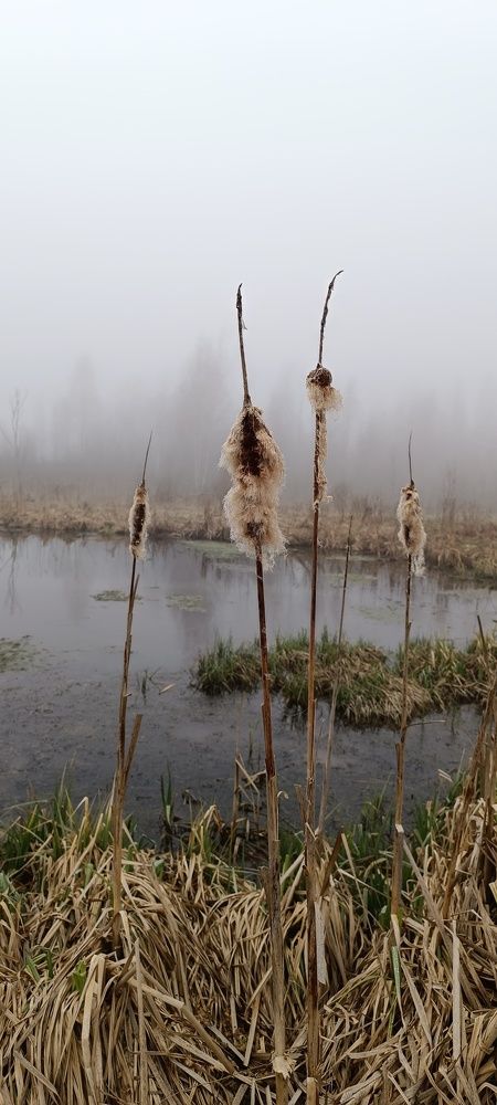 Photograph by Татьяна Смирнова