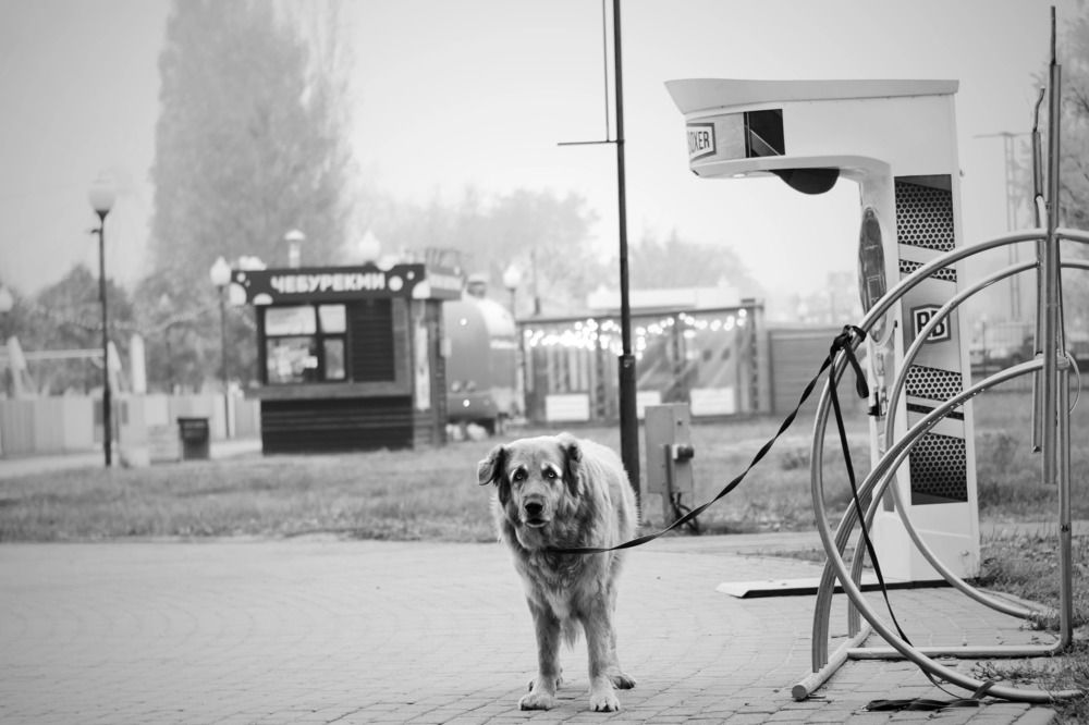 Фотография автора Дмитрий Овчинников