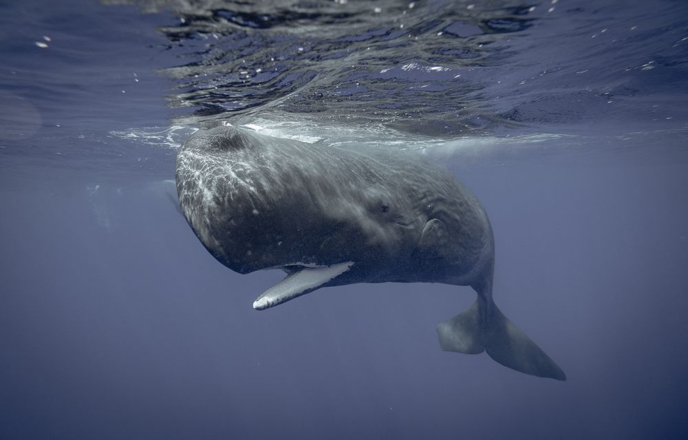 Photograph by Евгения Прасула