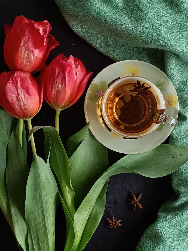 Photograph by Татьяна Смирнова