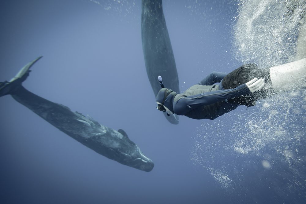 Photograph by Евгения Прасула