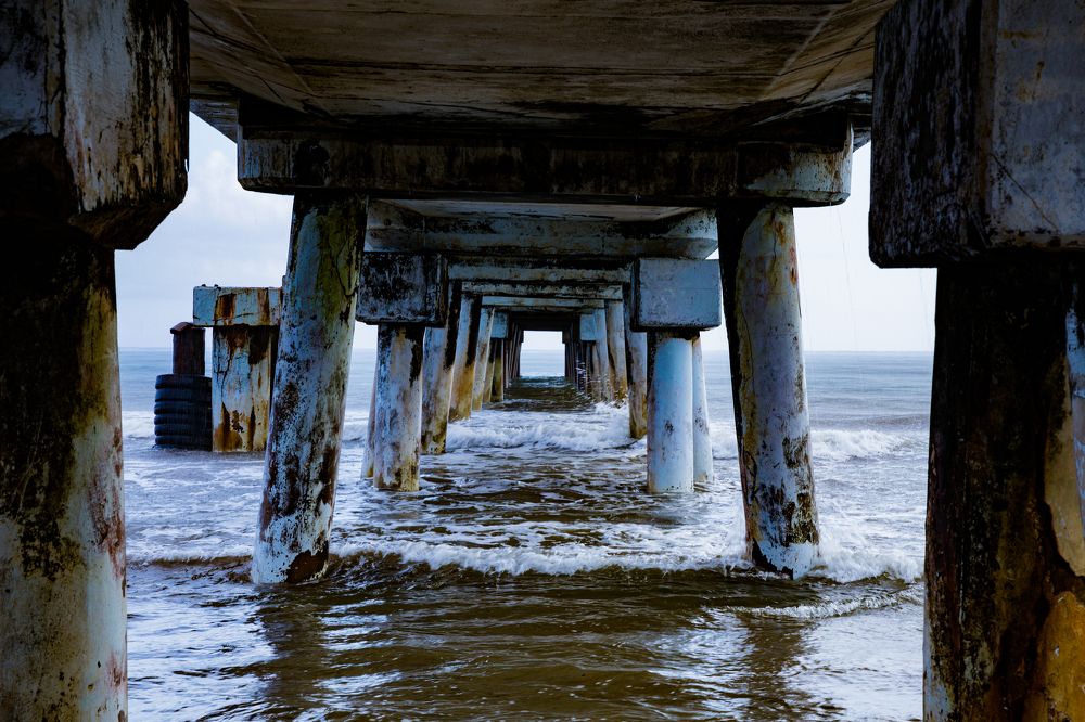 Photograph by Trivet Antony