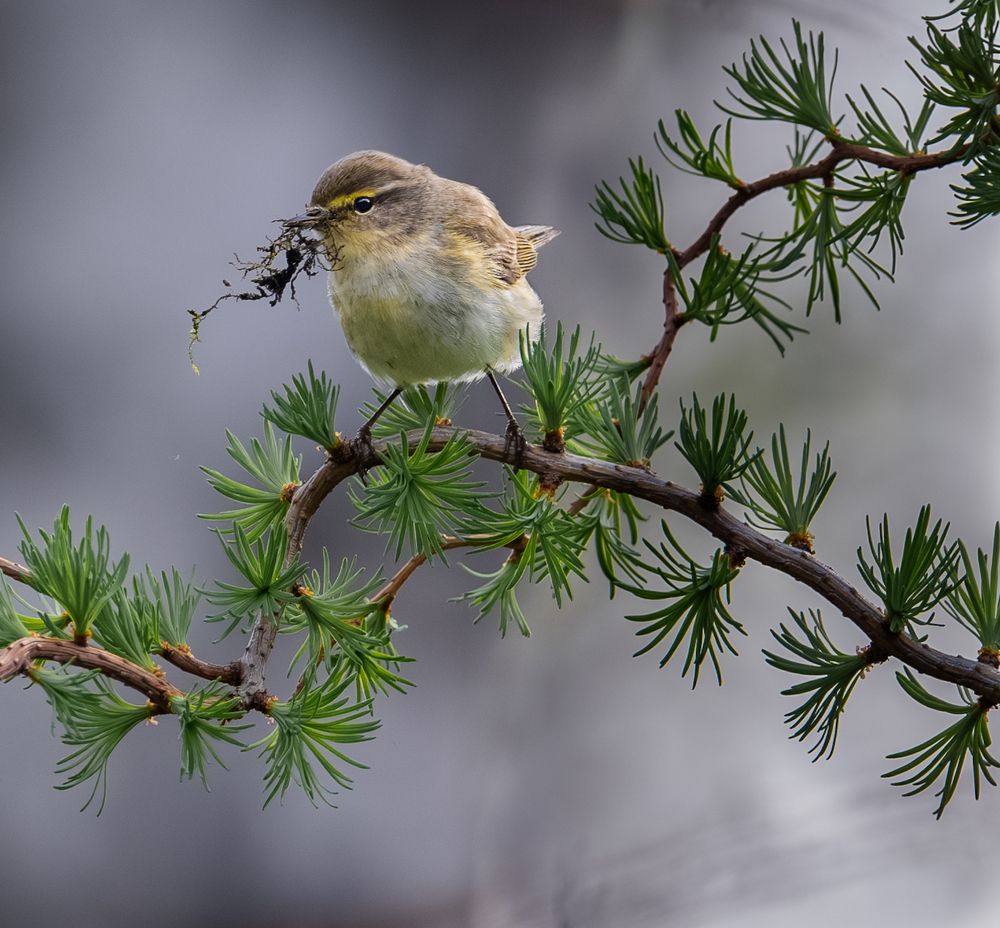 Photograph by Курлянцев Алексей