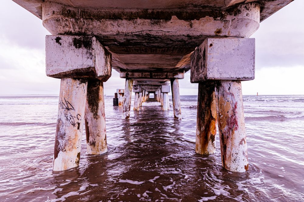 Фотография автора Trivet Antony