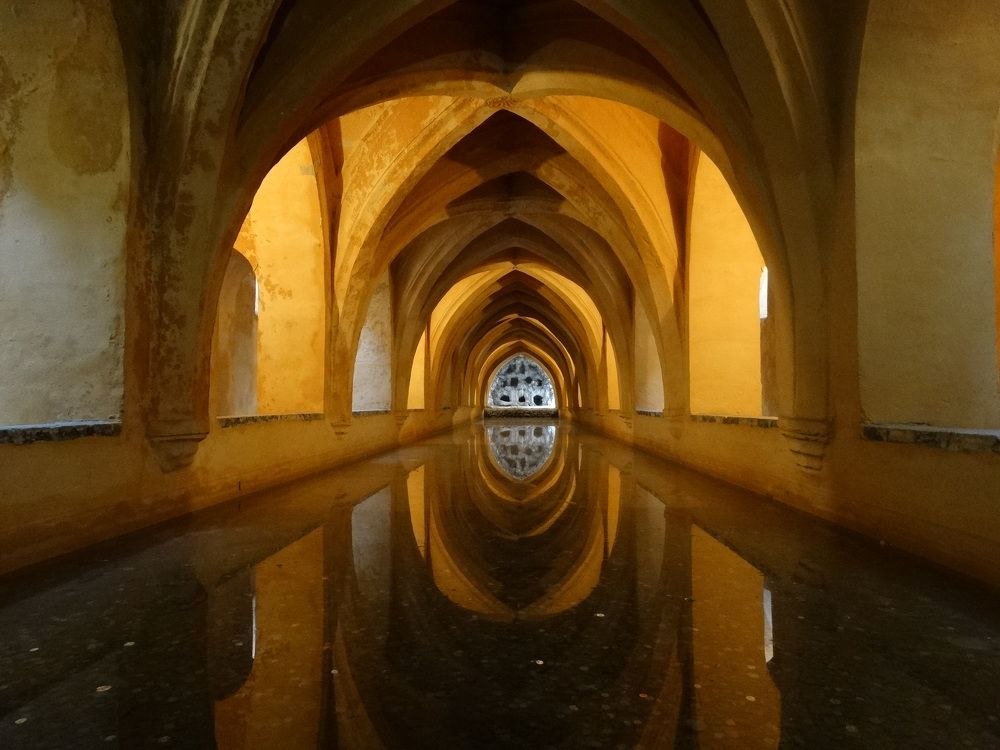 Photograph by Мила Милая