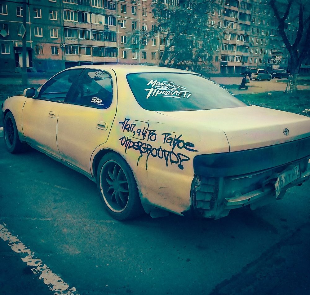 Photo #10561404