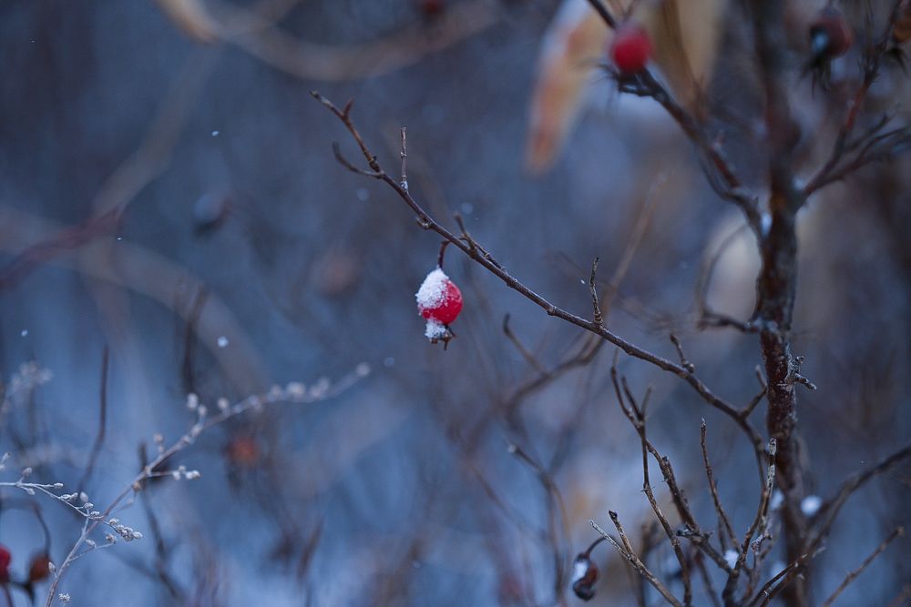 Photograph by Наталья Струц