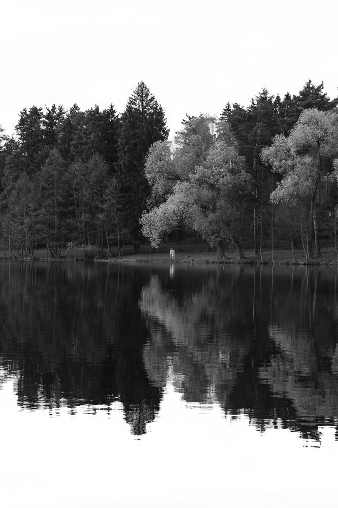 Фотография автора Дмитрий Овчинников