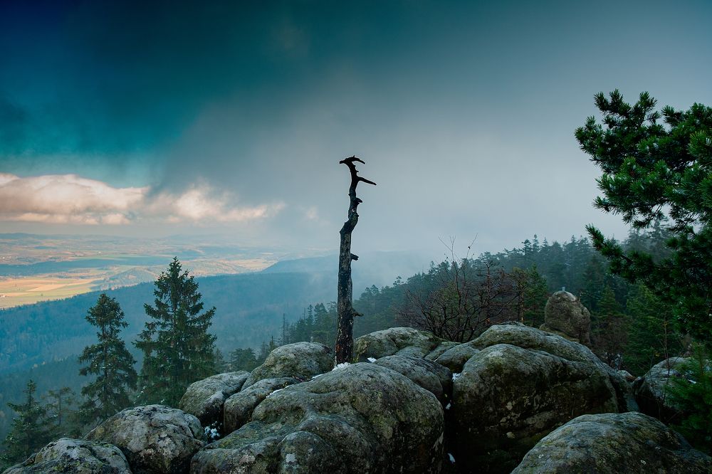 Photograph by Ivan Paulych