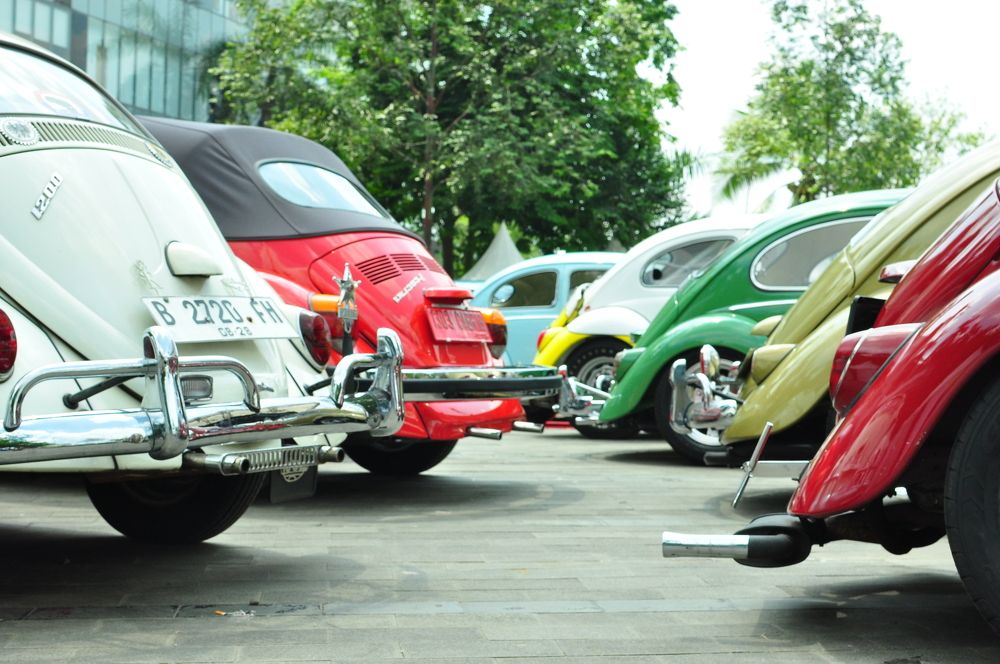 Photograph by Dina Gumanty