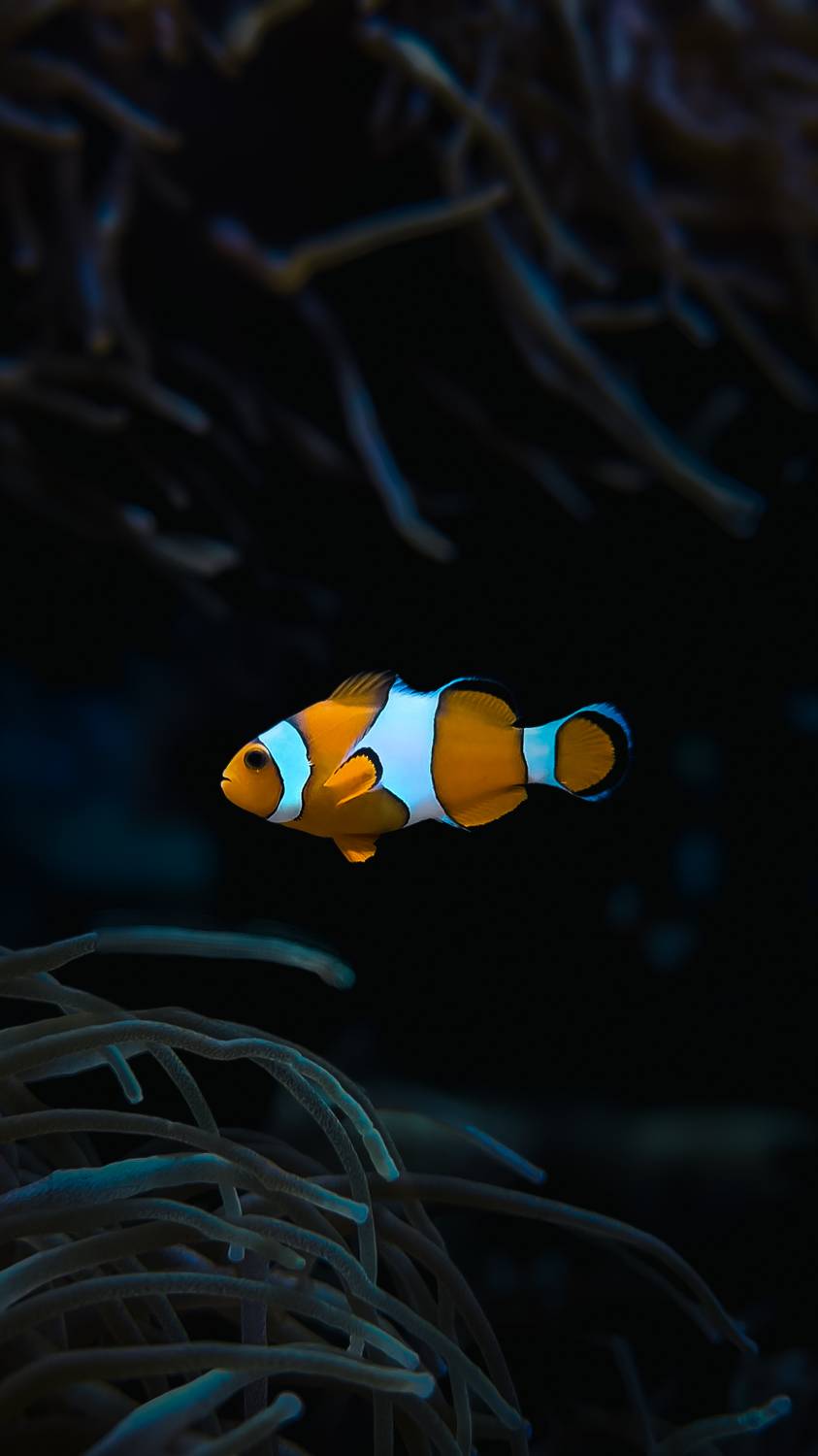 Фотография #10561636