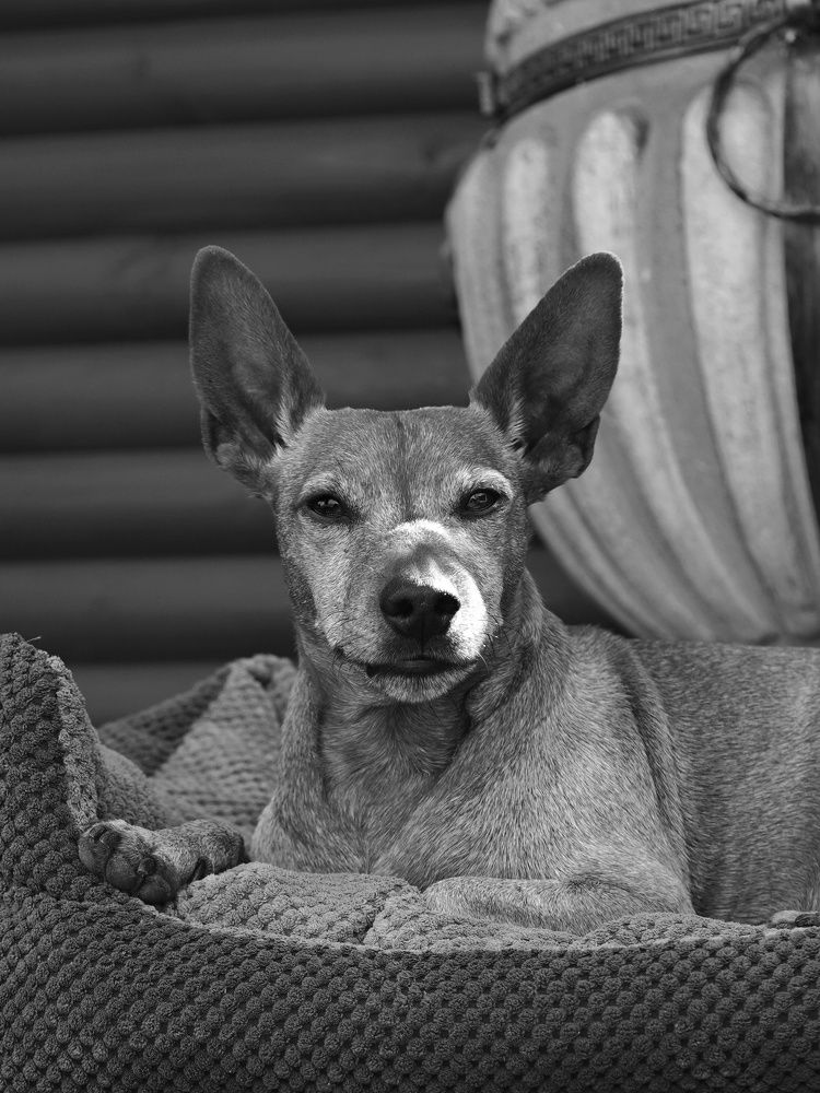 Photograph by Игорь Маслов