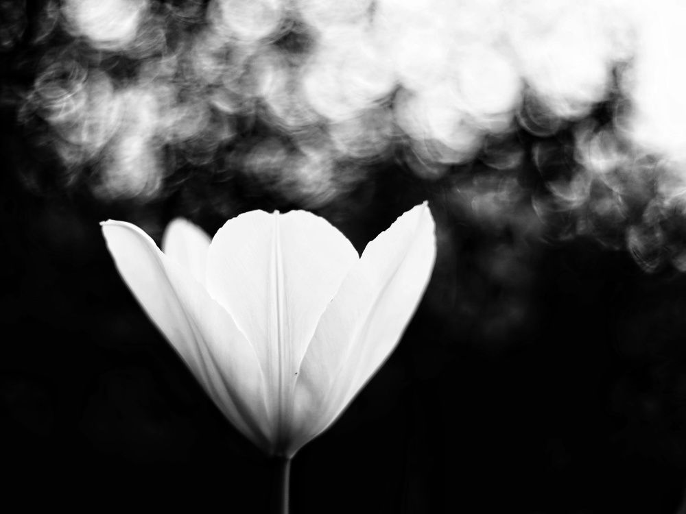 Photograph by Игорь Маслов