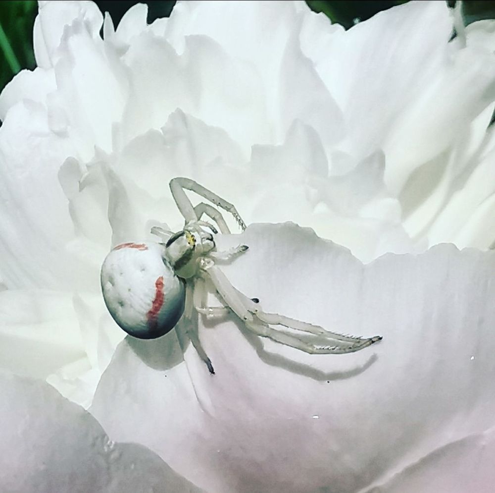 Photograph by Nikolett Mengyi