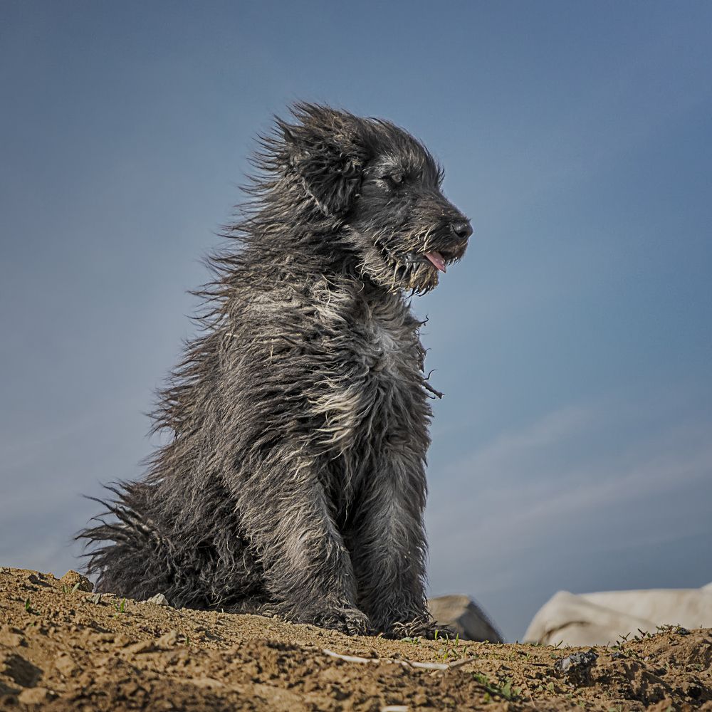 Photograph by Олег Белан