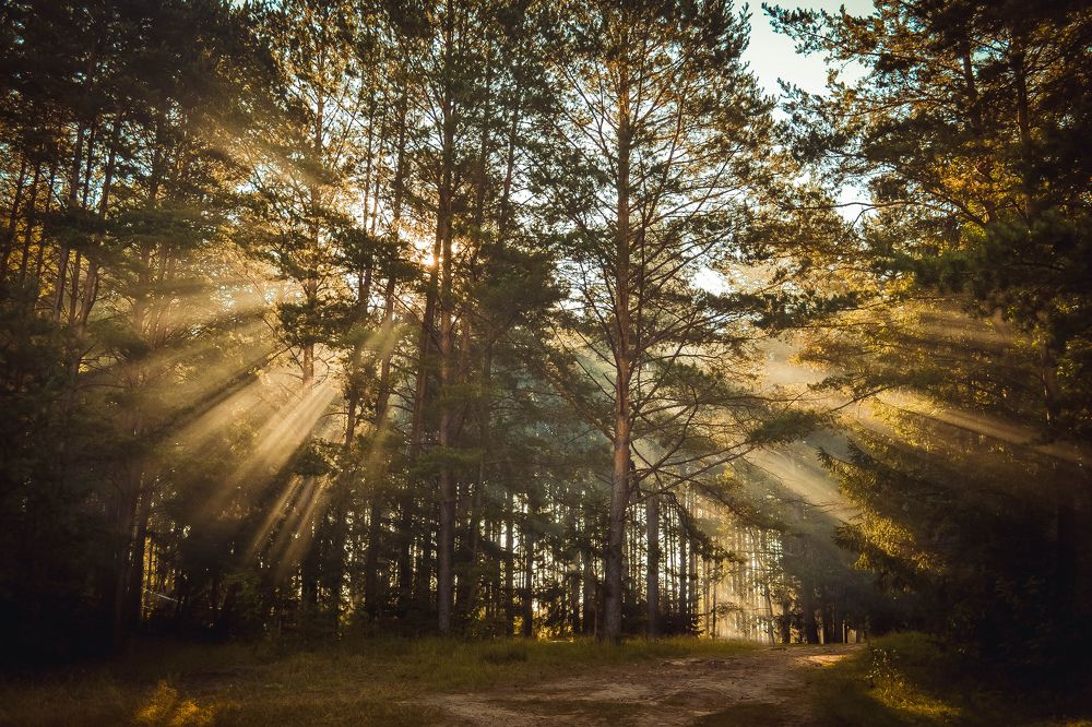 Photograph by Ирина Юрлова