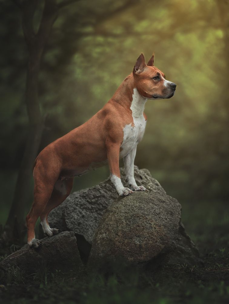 Фотография автора Карина Сагитова