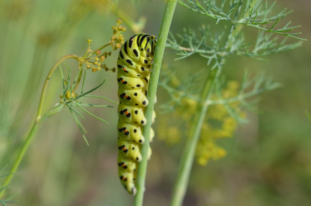 Photograph by Ксения Тенькина