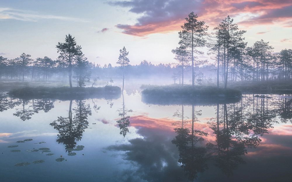 Photograph by Кононов Антон