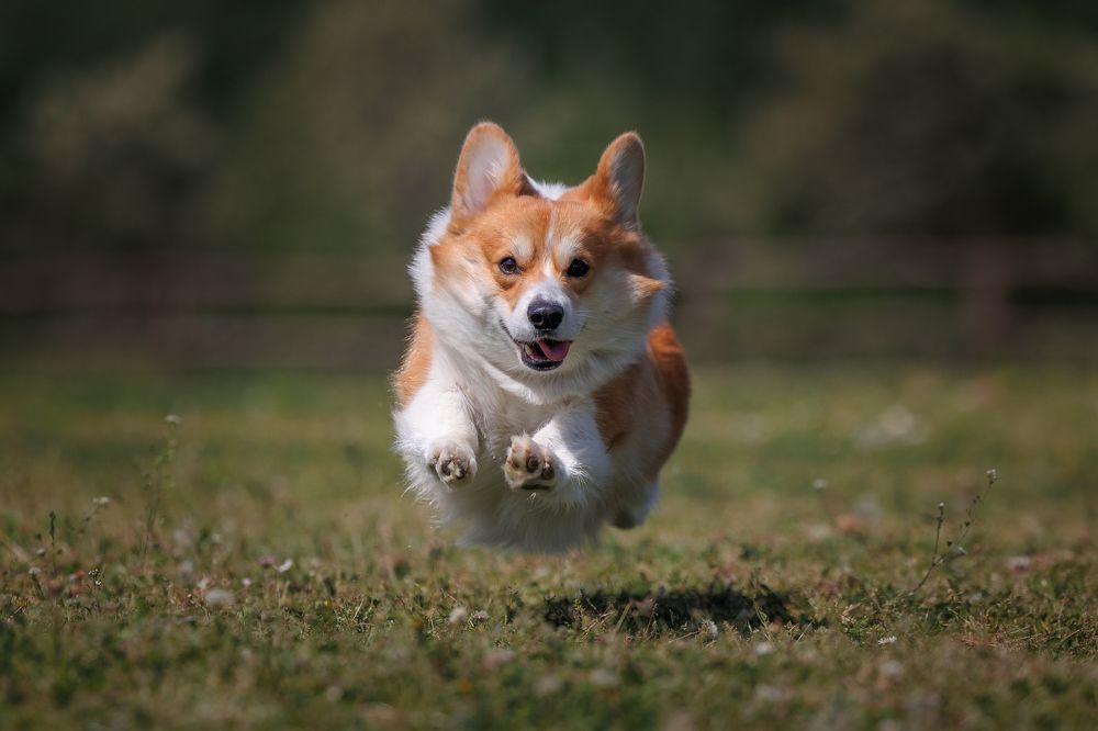 Photograph by Анна Титова