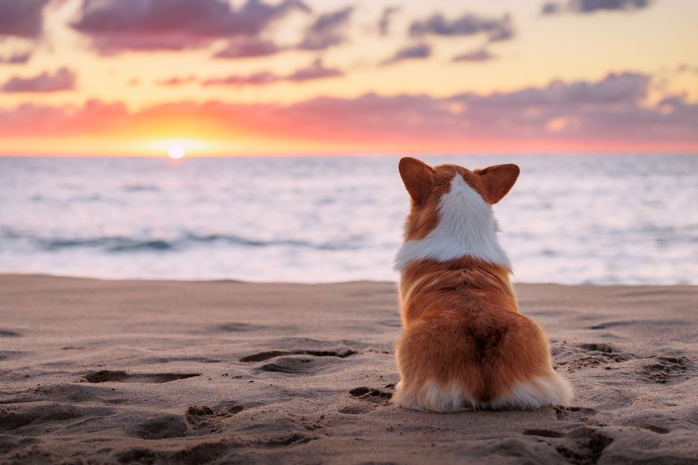 Photograph by Анна Титова