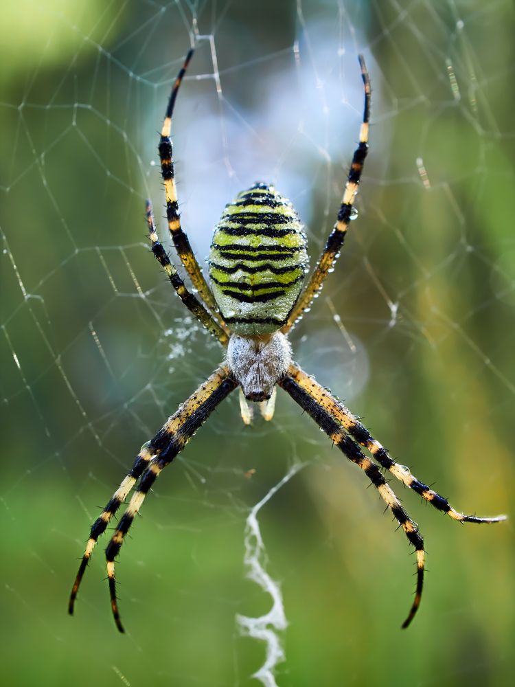 Photograph by Калёв Сергей