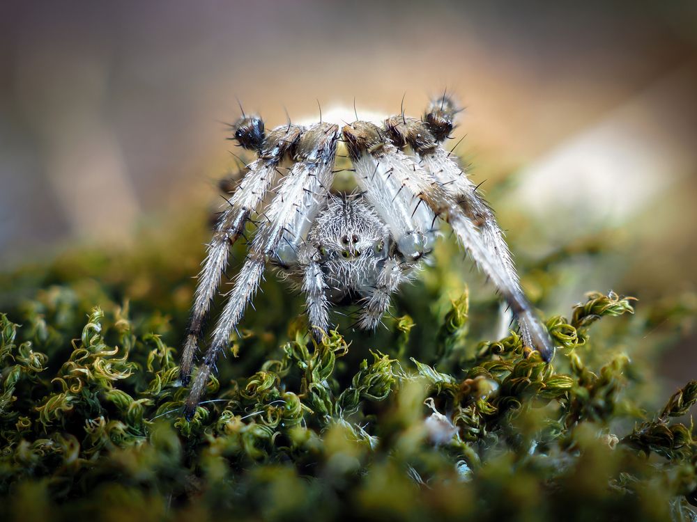 Photograph by Калёв Сергей