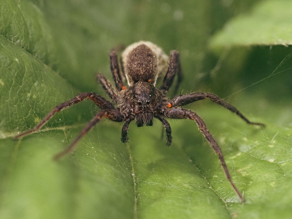 Photograph by Калёв Сергей