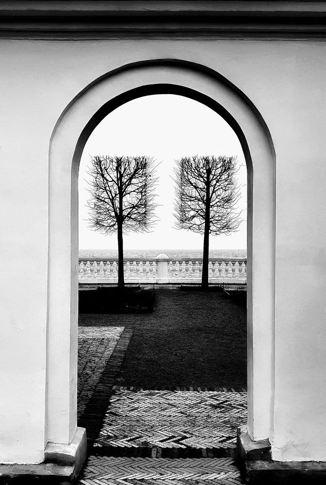 Photograph by Надежда Кудрявцева