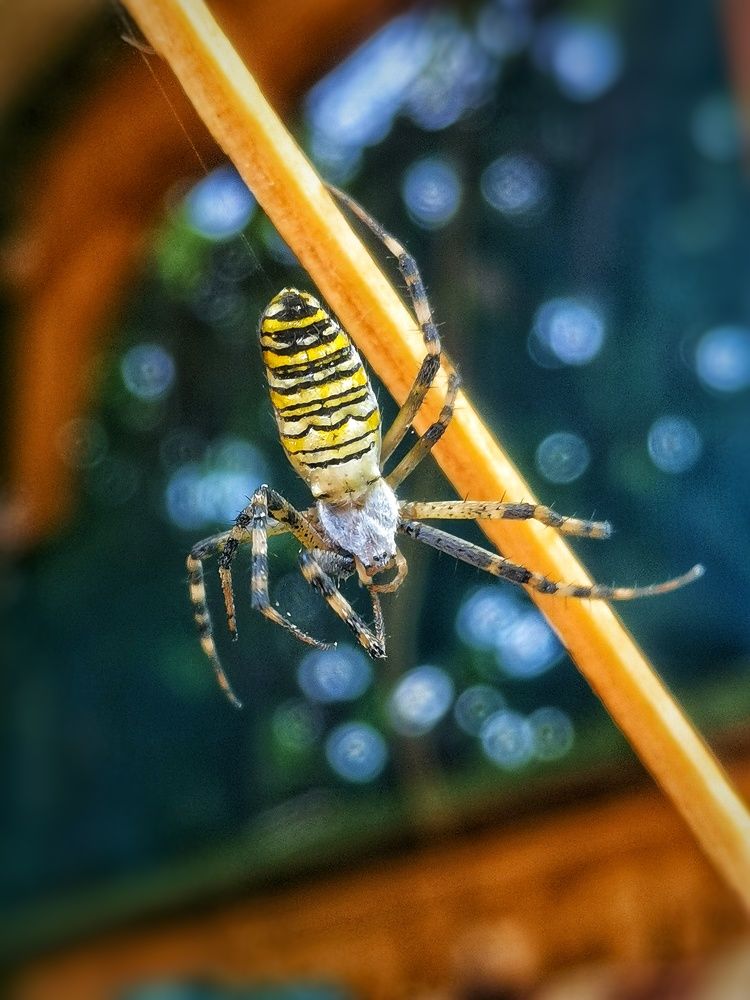 Photograph by Ольга Мажарук